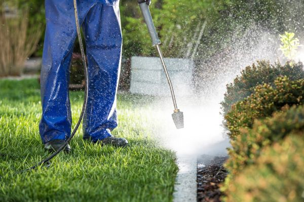 Curb Cleaning in Sterling