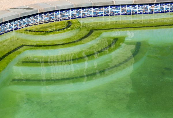 Cost of Pool Deck Algae Removal in Sterling