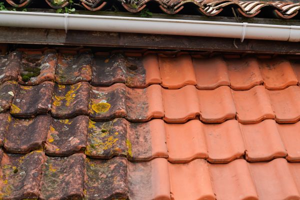 Industrial Roof Cleaning in Sterling